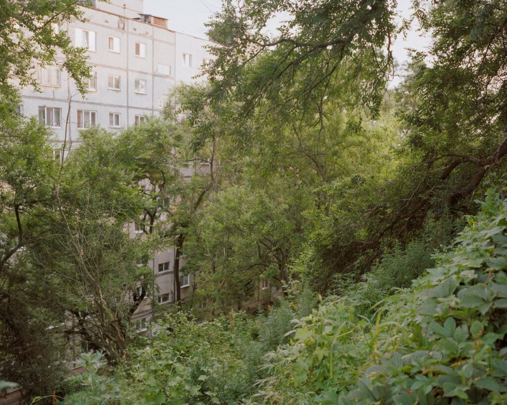 Анастасия Цайдер. Аркадия I. Владивосток. 40х50