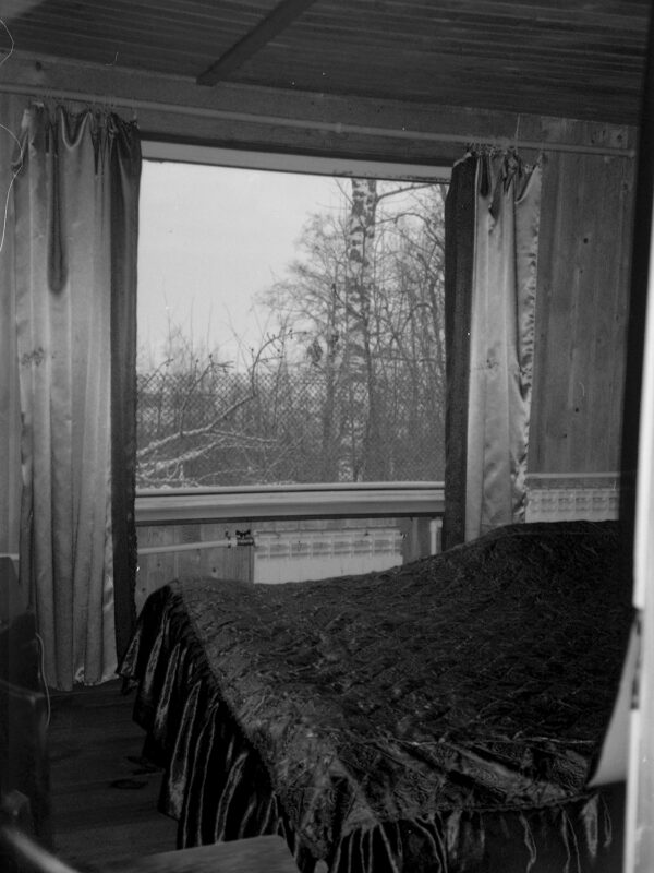 Маргарита Смагина. The wolf who lives under the rock III, 30х40