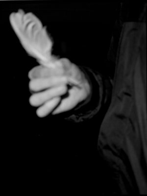 Маргарита Смагина. The wolf who lives under the rock IX, 24,5х32