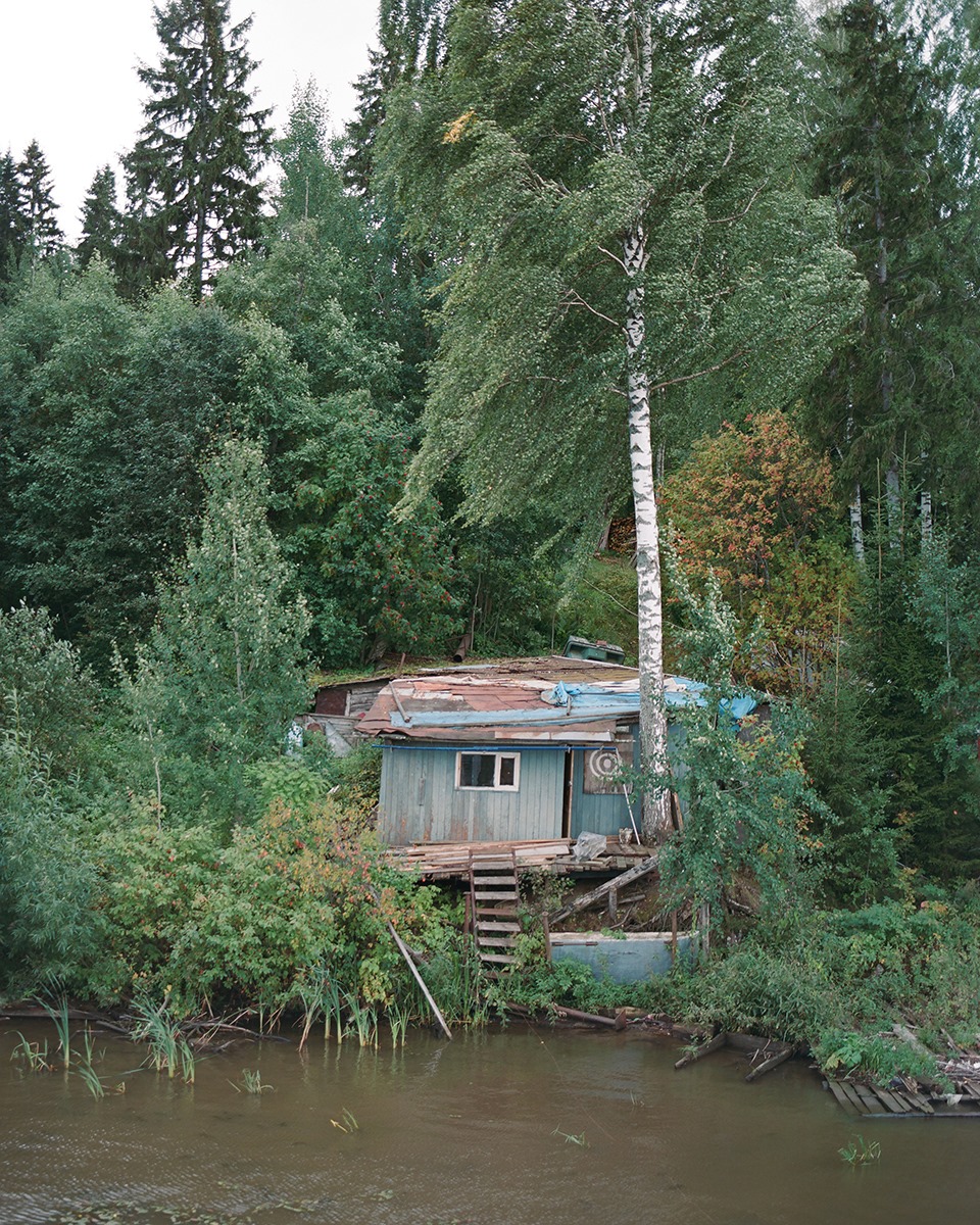 Дарья Назарова. Березы. Дом паука