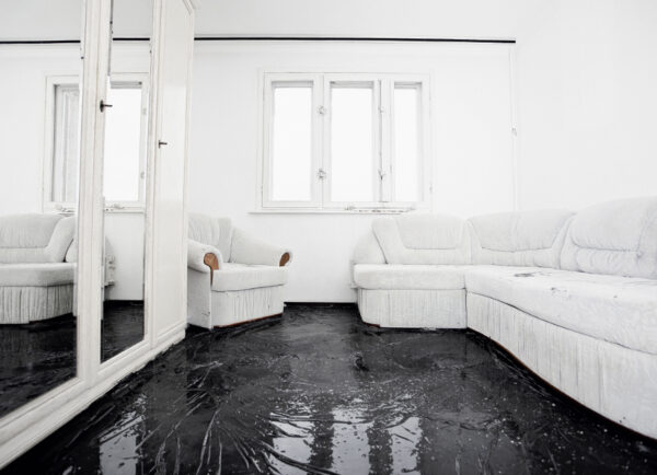 Ирина Иванникова. Ремонт II. 50х70