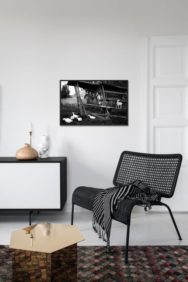 Федор Телков. 36 видов I. Вид №11. 53x80