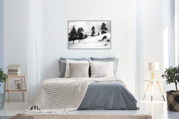 Федор Телков. 36 видов I. Вид №14. 53x80