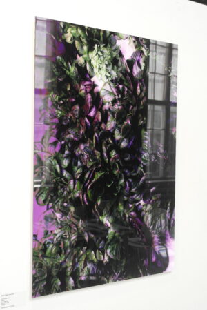 Ирина Задорожная. Фантом I. 66х100