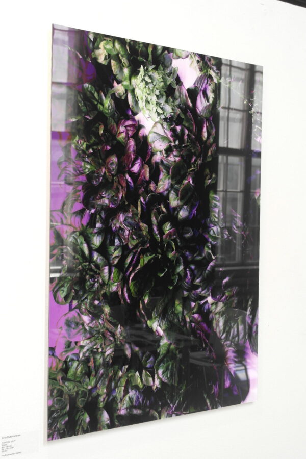 Ирина Задорожная. Фантом I. 66х100