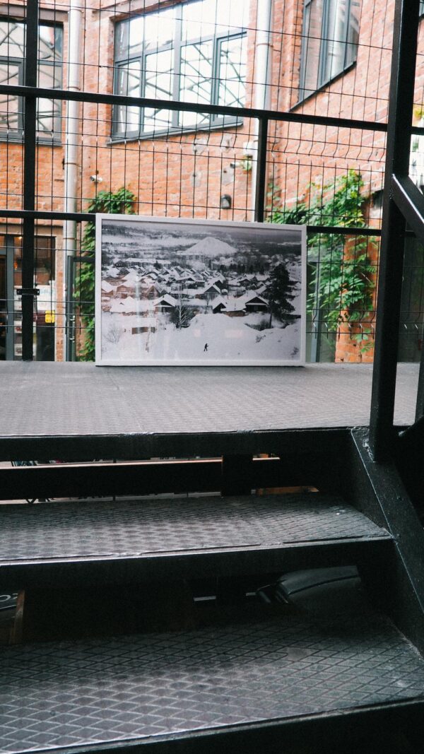 Федор Телков. 36 видов I. 53x80