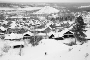 Федор Телков. 36 видов I. 53x80