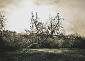 Алла Мировская. Untitled I, 23х32