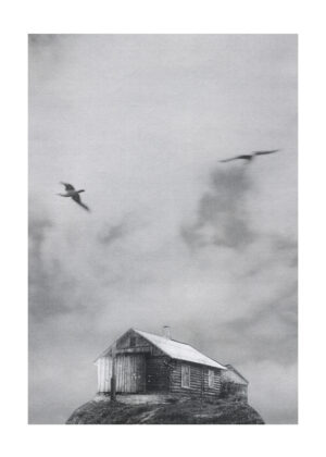 Юлия Бориссова. О мужчинах, парящих в воздухе III, 50х70