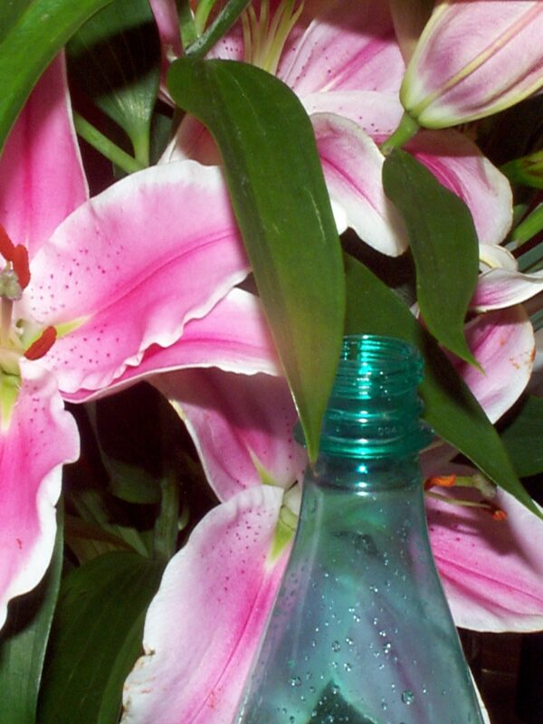 Анастасия Тайлакова. Untitled IV. 30x40