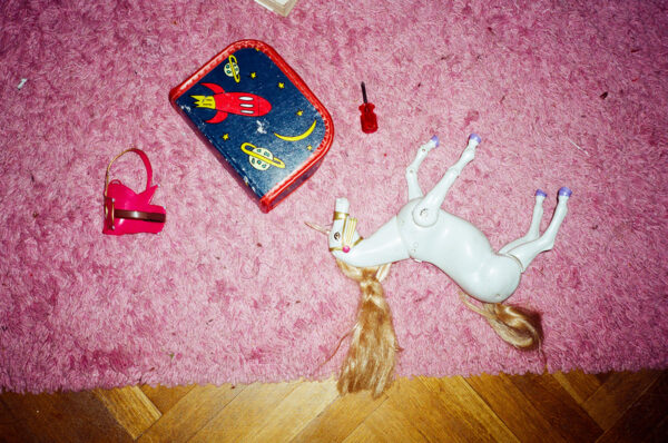 Дарья Назарова. Алое II. 20х30