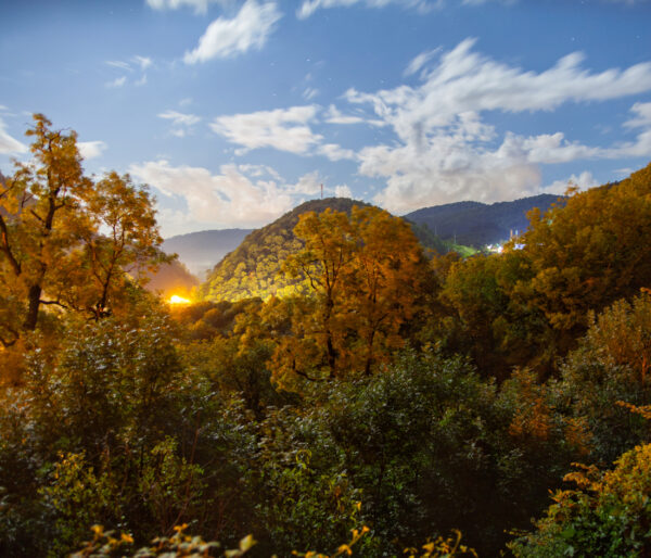 Юля Абзалтдинова. Legends I. 50х60