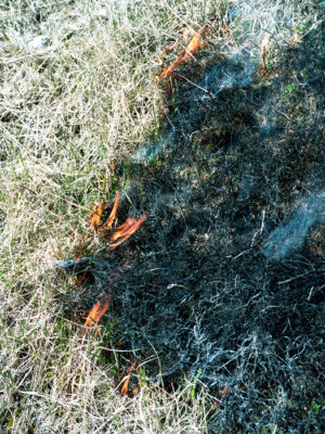 Фёдор Шклярук. On Aether II. 50х70