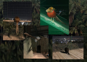 Алексей Мыслицкий. Untitled IV, 50x70