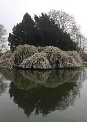 Алексей Мыслицкий. Untitled VI, 50x70