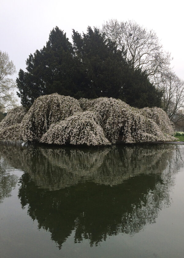 Алексей Мыслицкий. Untitled VI, 50x70