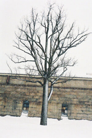 Александр Бондарь. Untitled I, 23x34