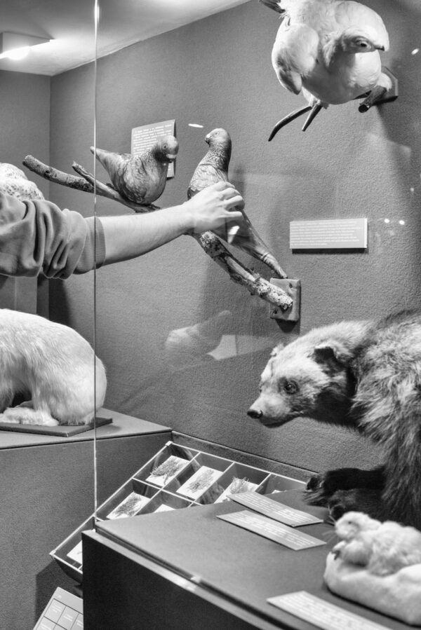 Лёша Павлов. Вестники и обещания II, 40x60