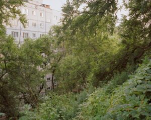 Анастасия Цайдер. Аркадия. Владивосток