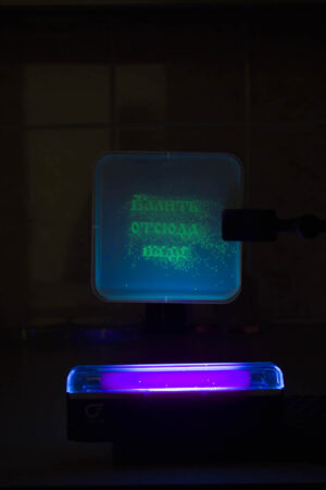 BIOROBOTY 019. Никакого роста, Бактерия III. 50х70