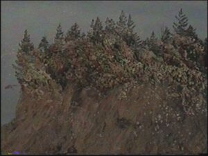 Денис Шулепов. Практика ностальгии V. 22,5x30