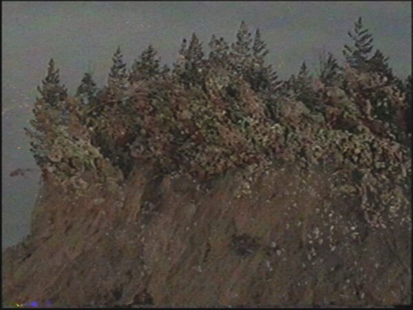 Денис Шулепов. Практика ностальгии V. 22,5x30