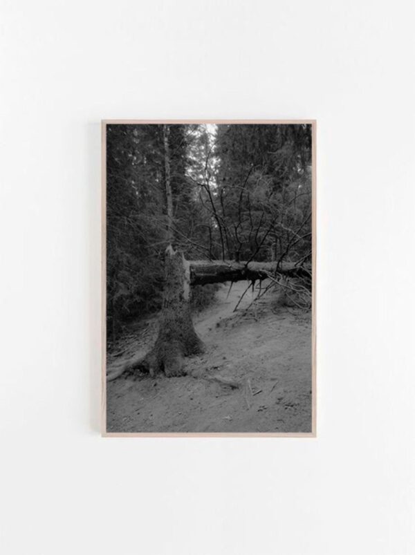 Дмитрий Васильев. Demarcation II. 30x45