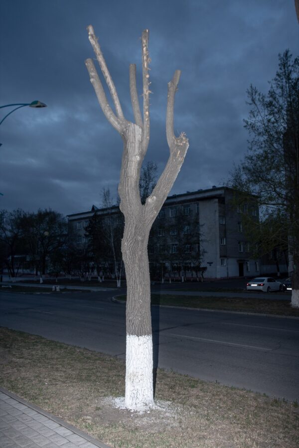 Василий Пиндюрин. Patina VI. 50х75