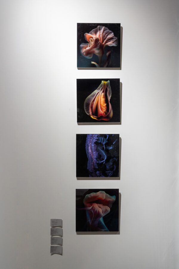 Ирина Задорожная. Aurantiafoliumia. 30x30