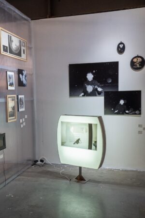 Кристина Башкова. Самый ясный день в году I. 40x60