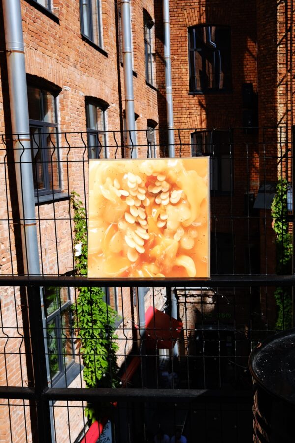 Рита Раева. In love again. 40x40