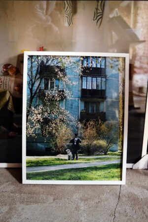 Яна Булгакова. Untitled II. 40x50