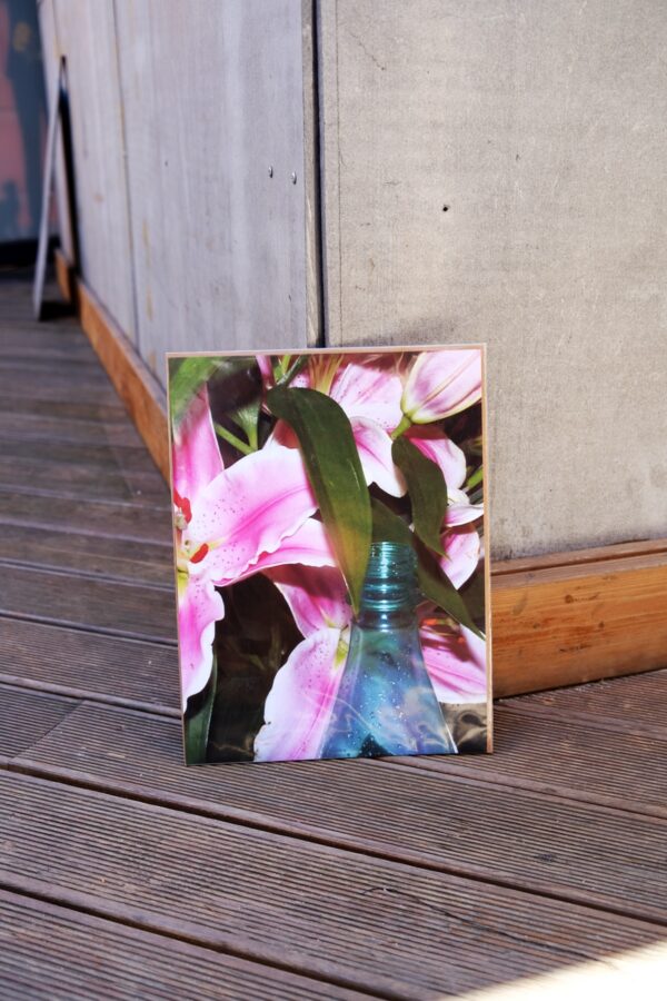 Анастасия Тайлакова. Untitled IV. 30x40