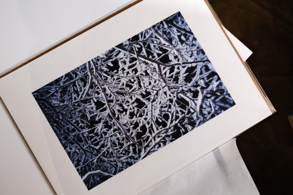 Дарья Назарова. Untitled III, 2018. 30x40