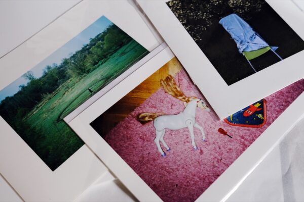 Дарья Назарова. Круг. Дом паука