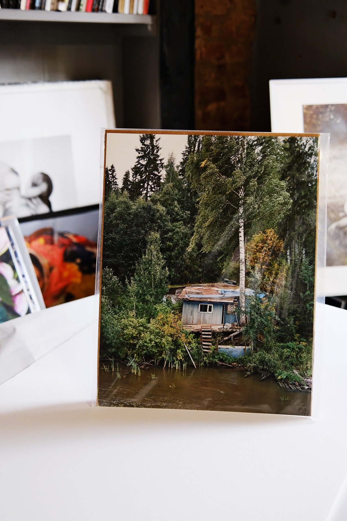 Дарья Назарова. Березы. Дом паука — изображение 2