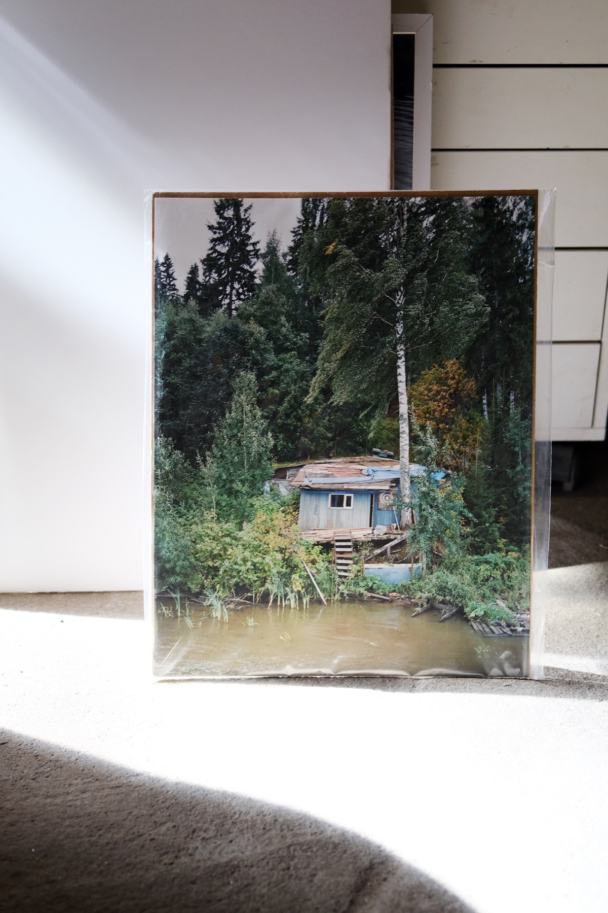 Дарья Назарова. Березы. Дом паука — изображение 3