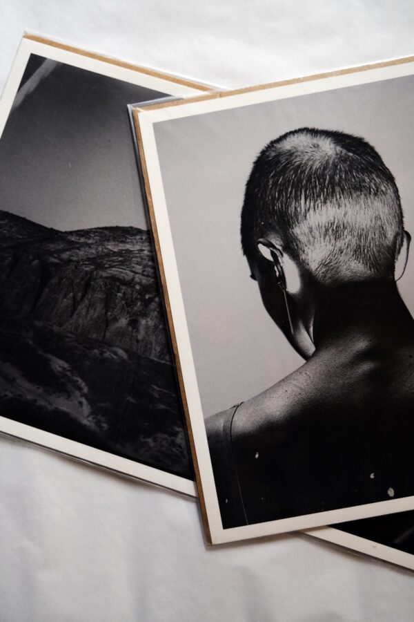 Маргарита Смагина. The wolf who lives under the rock II, 30х43