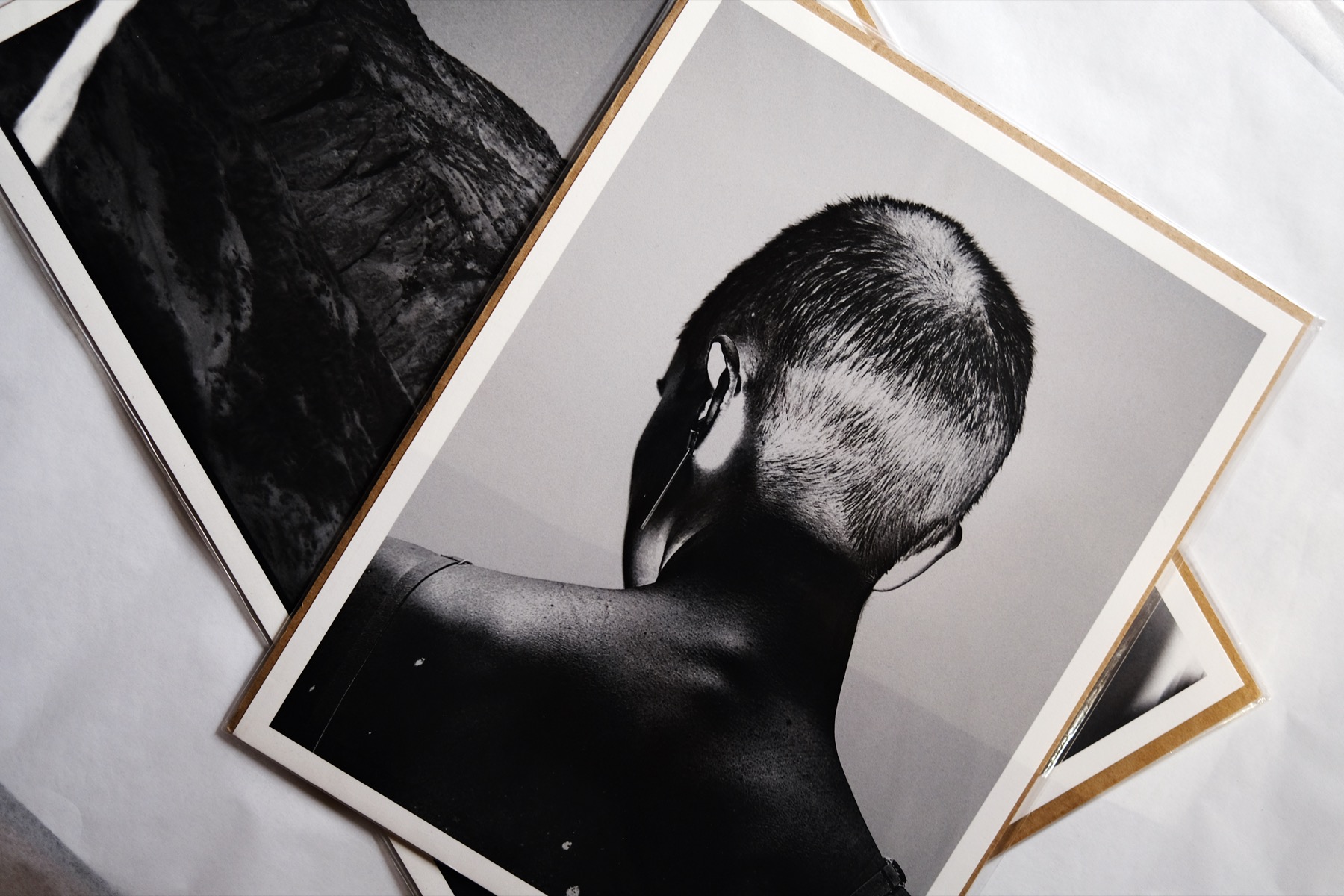 Маргарита Смагина. The wolf who lives under the rock I, 24,5х32 — изображение 3