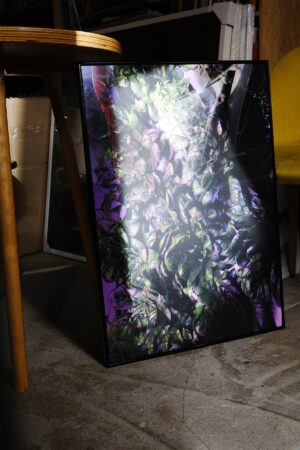 Ирина Задорожная. Фантом. 50х70