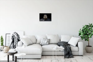 Моника Дубинкайте. New Renaissance I. 30x45