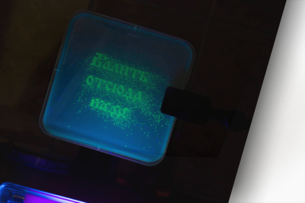 BIOROBOTY 019. Никакого роста, Бактерия III. 50х70