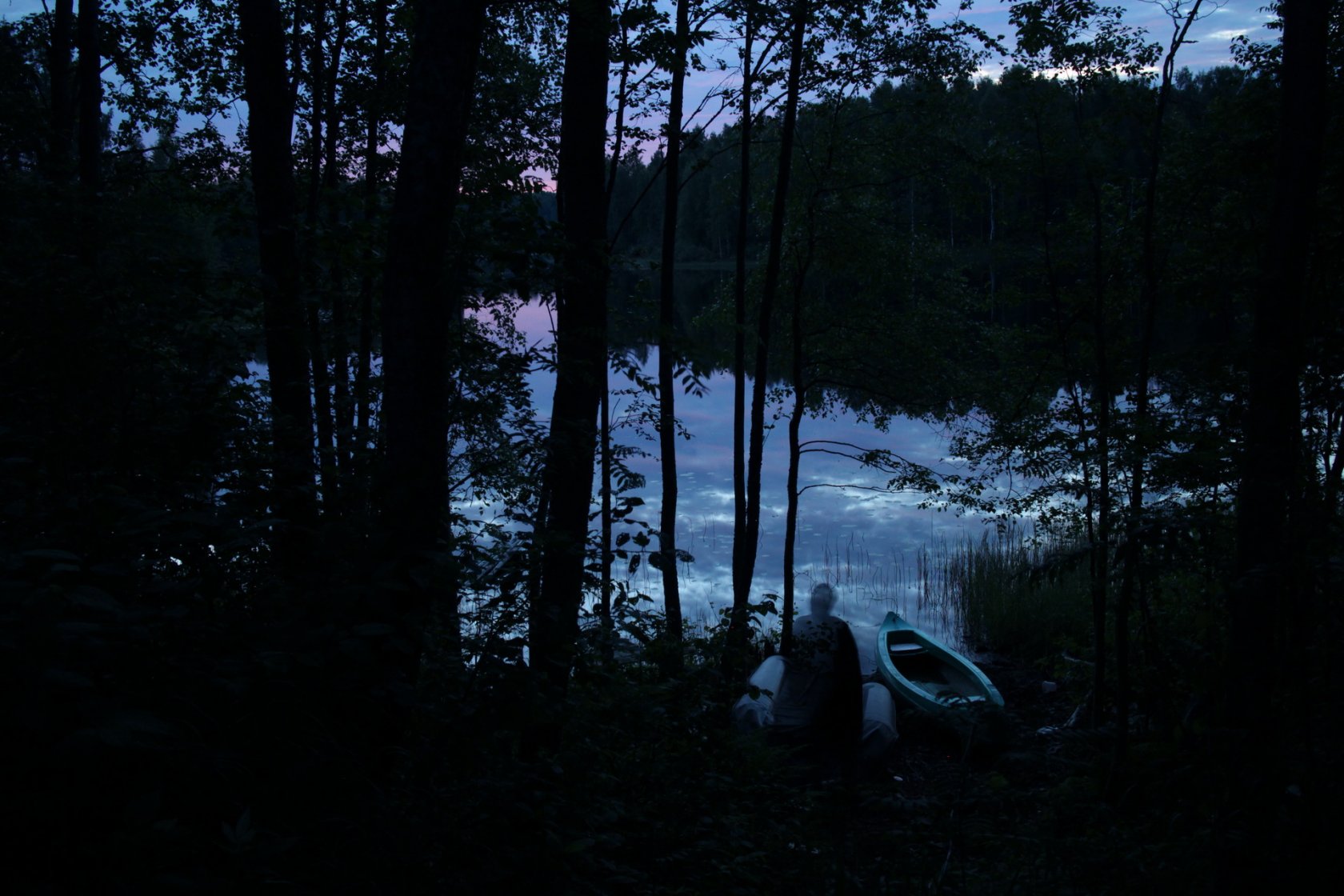 Евгений Молодцов. Вепсский лес II. 33x48,5