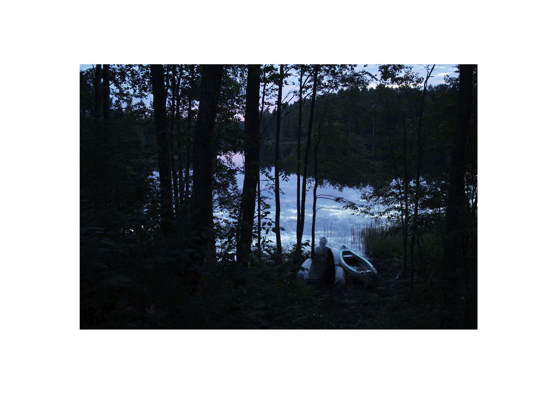 Евгений Молодцов. Вепсский лес II. 33x48,5 — изображение 2