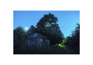 Евгений Молодцов. Вепсский лес IV. 33x48,5