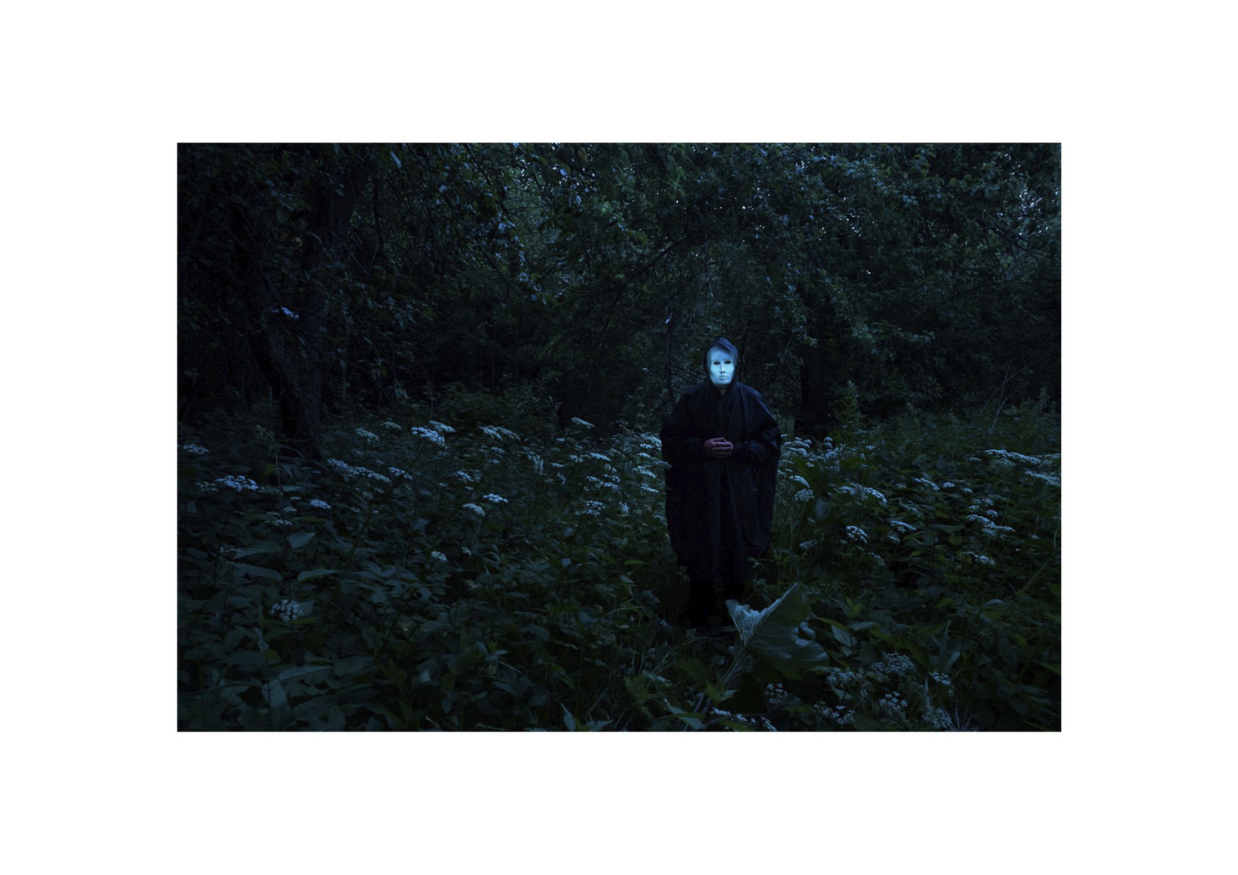 Евгений Молодцов. Вепсский лес VII. 33x48,5