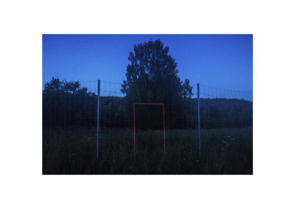 Евгений Молодцов. Вепсский лес IX. 33x48,5