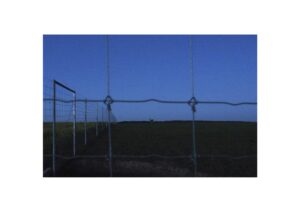 Евгений Молодцов. Вепсский лес X. 33x48,5