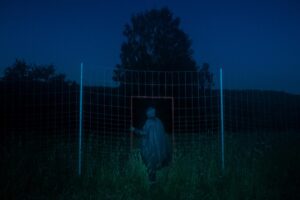 Евгений Молодцов. Вепсский лес III. 33x48,5