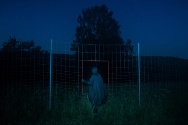 Евгений Молодцов. Вепсский лес III. 33x48,5